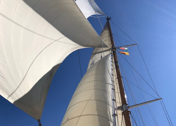 Classic Sailing Yacht Halcyon Under Sail